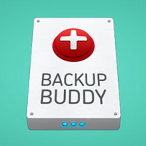 افزونه پشتیبان گیری حرفه ای سایت BackupBuddy