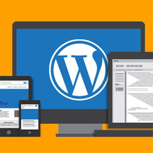 وردپرس ۵ منتشر شد! امکانات و ویژگی‌های جدید