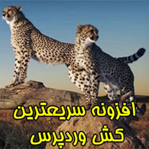 افزونه سریعترین کش وردپرس | WP Fastest Cache Premium